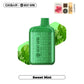 OXBAR Rocky Vapor Disposable Vape Sweet Mint